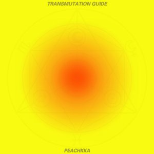 Image for 'Transmutation Guide'