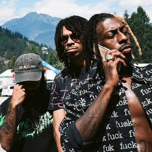 Immagine per 'Flatbush ZOMBiES'