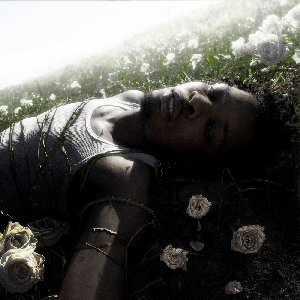 Image for 'WITHERED'