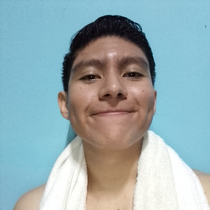 wilp17