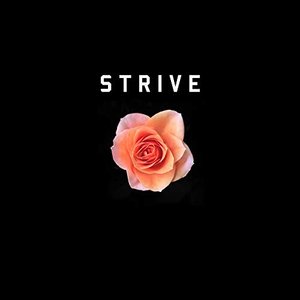 Image for 'Strive'