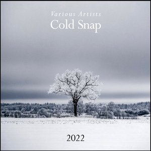 Image for 'Cold Snap 2022'