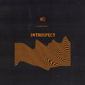 Изображение для 'Introspect'
