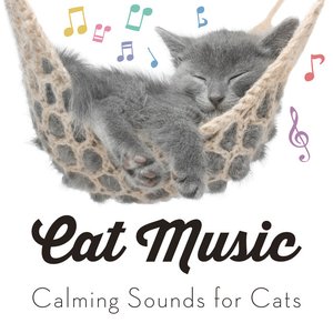 “Cat Music - Calming Sounds for Cats”的封面