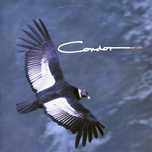 Image for 'Condor'