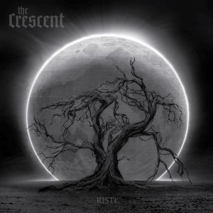 Image for 'Risti'