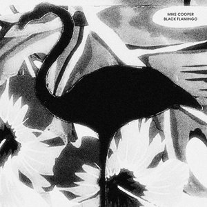 Image for 'Black Flamingo'