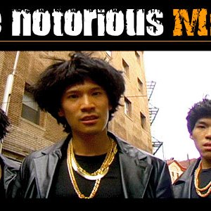 Image pour 'The Notorious MSG'