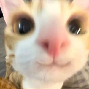 isaackkj