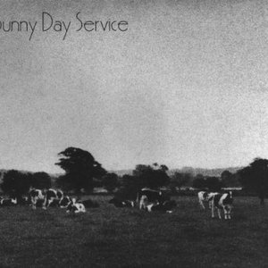 Image for 'Sunny Day Service'