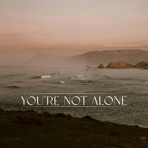 “You're Not Alone (&friends Remix)”的封面
