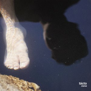 Image for 'Tácto'