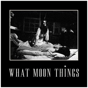 Image for 'What Moon Things'