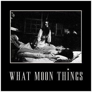 “What Moon Things”的封面