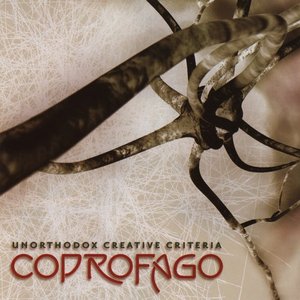 “Unorthodox Creative Criteria”的封面
