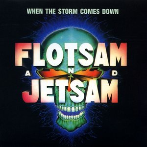 “When the Storm Comes Down”的封面