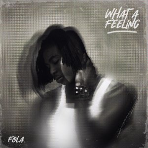 Image for 'what a feeling'