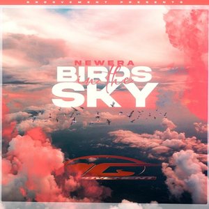 Immagine per 'Birds In The Sky'