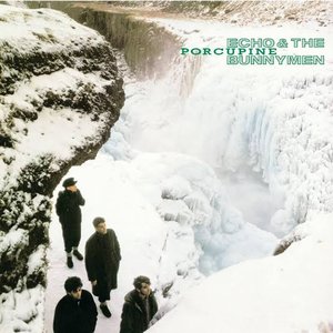 Zdjęcia dla 'Porcupine (Expanded; 2004 Remaster)'