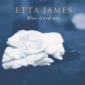 Image for 'Blue Gardenia'