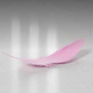 Image for 'Parei'