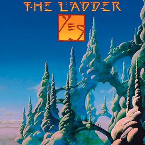 “The Ladder”的封面