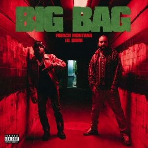 Image for 'Big Bag'