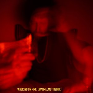 Image for 'Walking On Fire (Wankelmut Remix)'