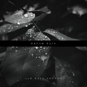 “24H Rain Sounds”的封面