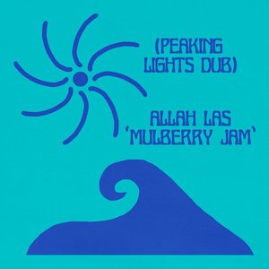 Image for 'Mulberry Jam (Peaking Lights Dub)'