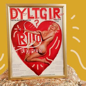 Bild für 'Dyltgir?'