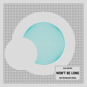 Изображение для 'Won't Be Long (Seb Wildblood Remix)'