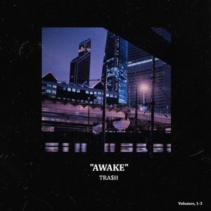 Image for 'AWAKE'