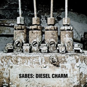 “diesel charm”的封面