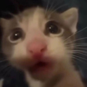 liivaliittle