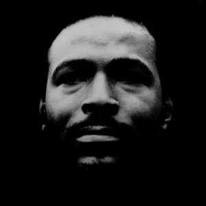 Image for 'Vulnerable'