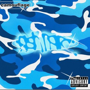 Image for 'Camouflage'