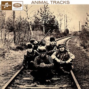 Image for 'Animal Tracks'