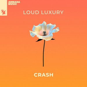 Immagine per 'CRASH'