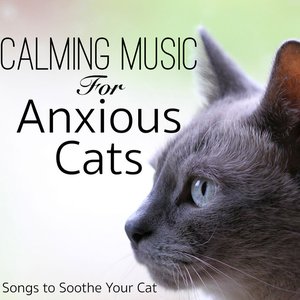 Изображение для 'Calming Music for Anxious Cats: Songs to Soothe Your Cat'