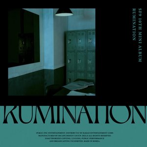 Image for 'RUMINATION'