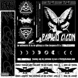 Image for 'b fly'