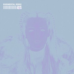 Image for 'The Days (Rudimental Remix)'