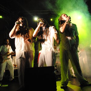 Immagine per 'Train To Roots'