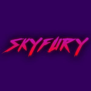 “Skyfury”的封面