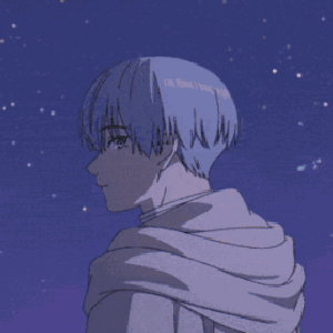 shinboboca