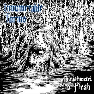 Image for 'Punishment In Flesh'