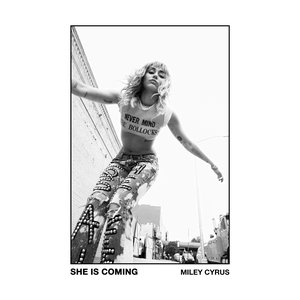 Image for 'SHE IS COMING'