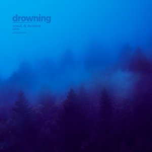 Image for 'drowning'