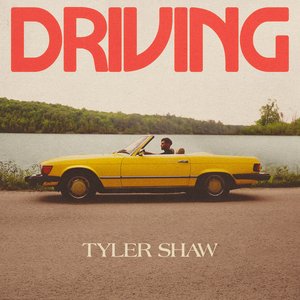 Image for 'Driving'